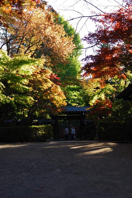 DSC_0048.jpg