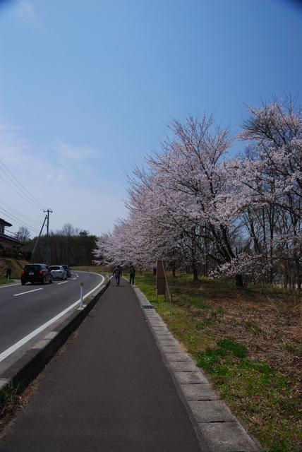 04DSC_0041.jpg