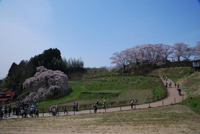 08DSC_0053.jpg