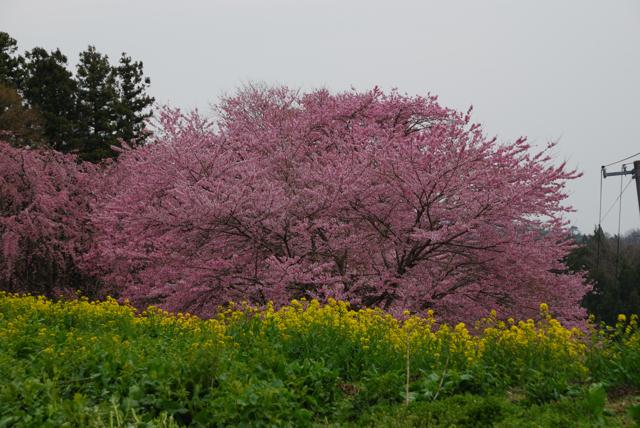 32DSC_0209.jpg