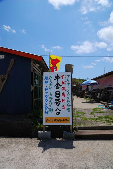 05.jpg