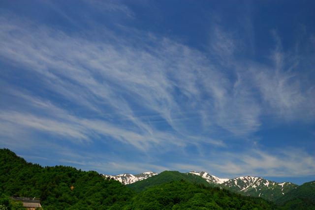 DSC_0707.jpg