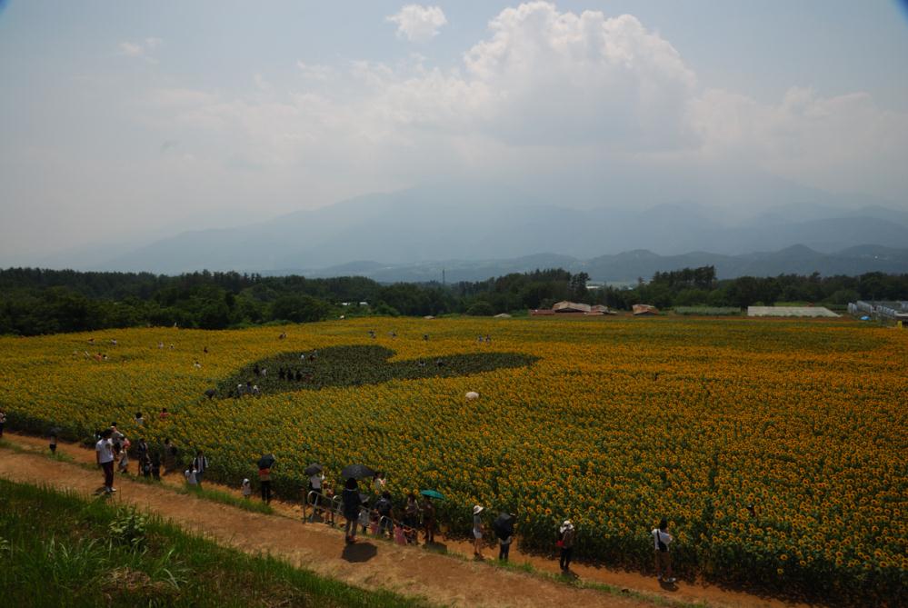 DSC_1168.jpg