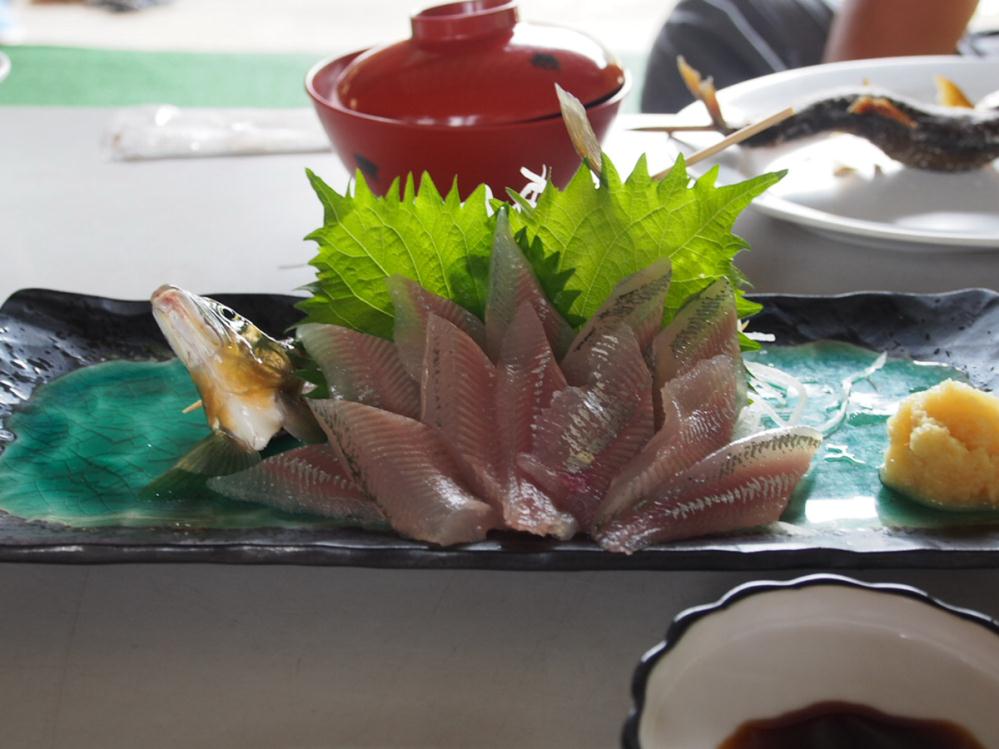 P8160014.jpg