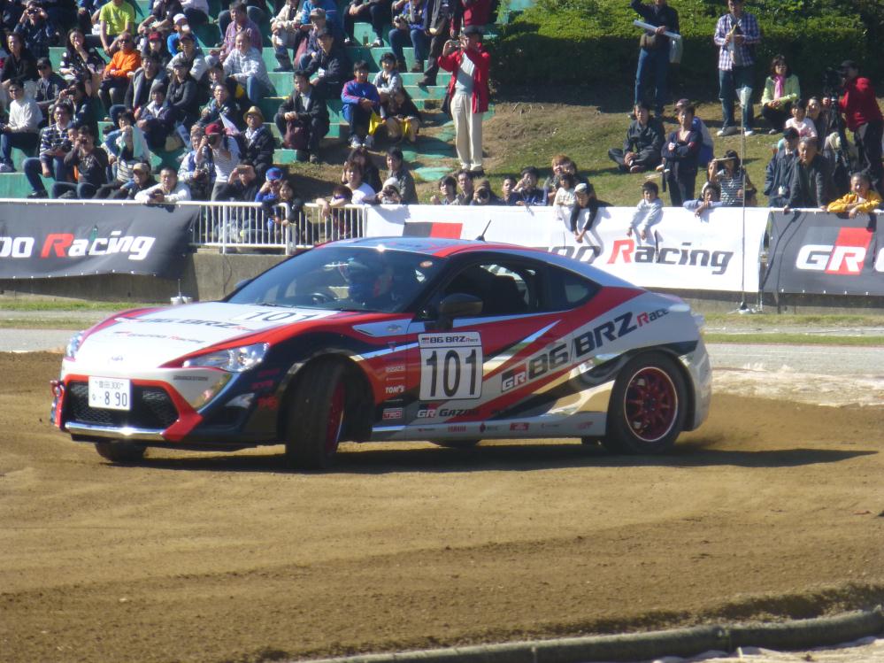 P1030176.jpg