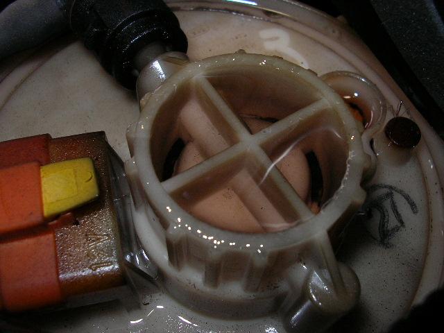 SANY0029.jpg