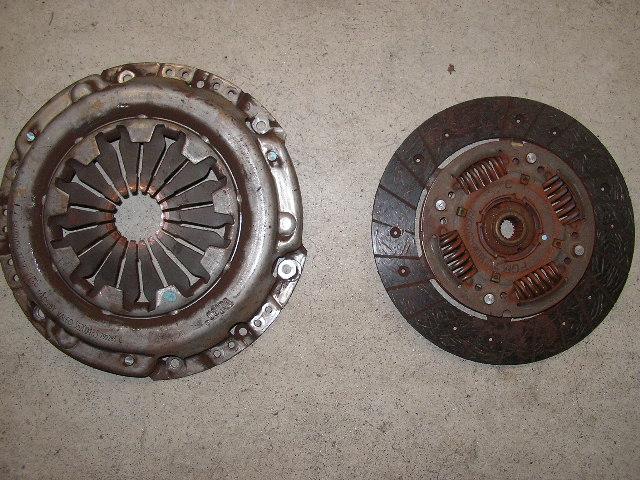 SANY0303.jpg