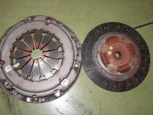 SANY0463.jpg