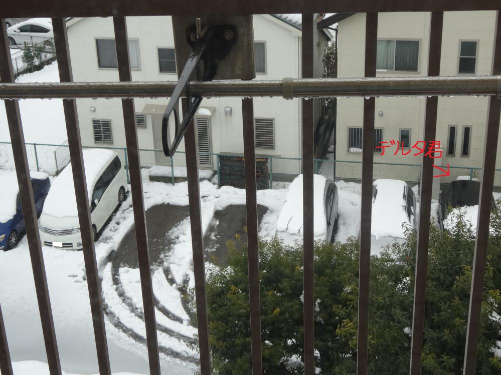 DSC00706 - コピー.jpg