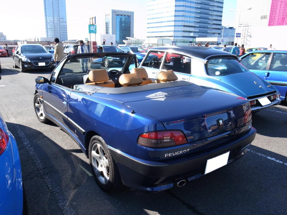 FFM7.jpg
