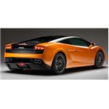 GALLARDO.jpg