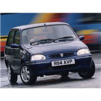 Rover 100 (1).jpg