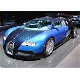 VEYRON.jpg