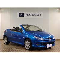 peugeotエーゲブルー.jpg