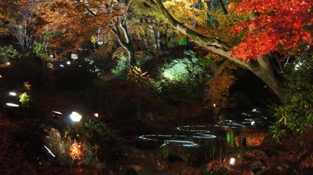 201212068.jpg