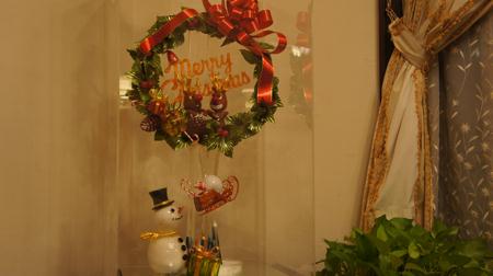2012121112.jpg