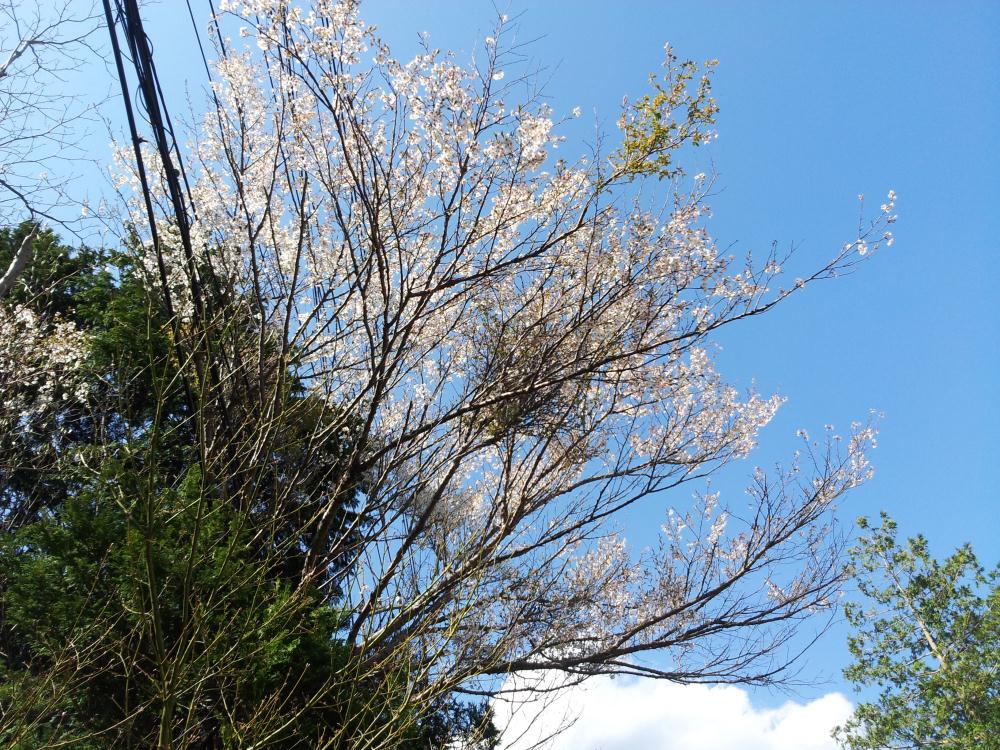 20130413_140144.jpg