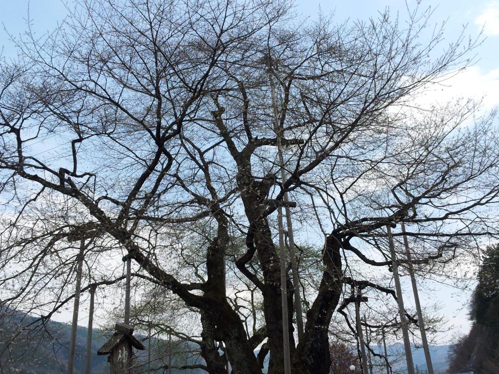 20130506_130043.jpg