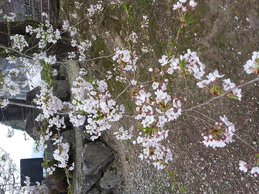 20130506_131426.jpg