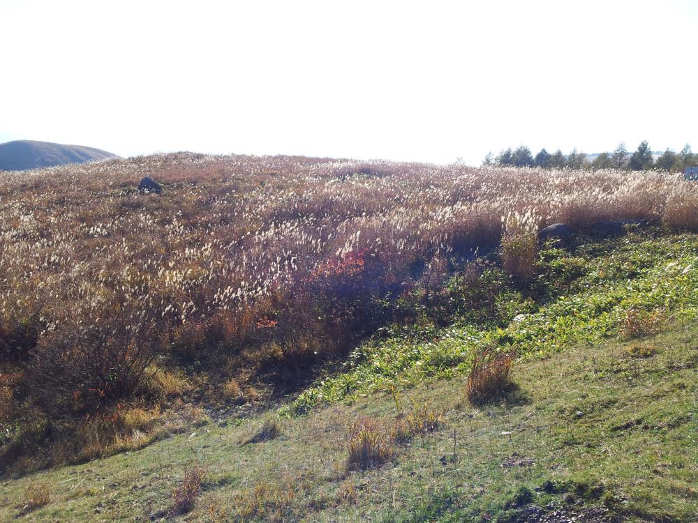 20141024_031035_663_2.jpg