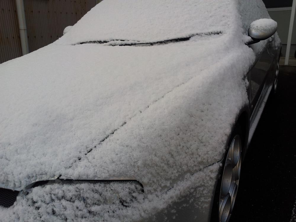 20150102_084217_824_2.jpg