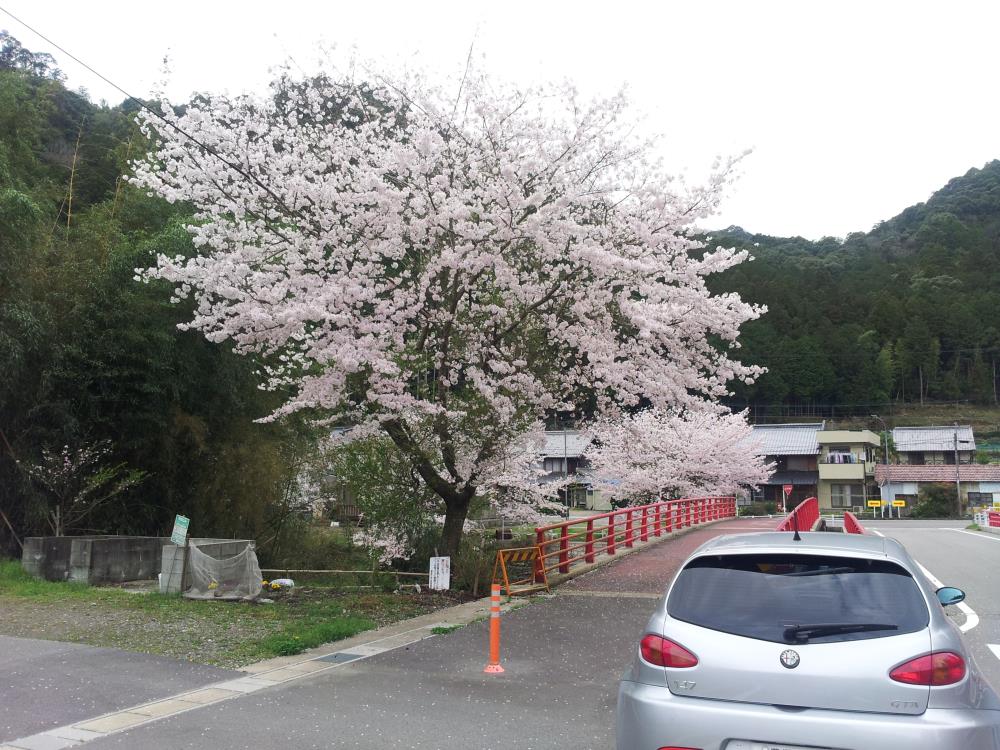 20150411_081600_491_2.jpg