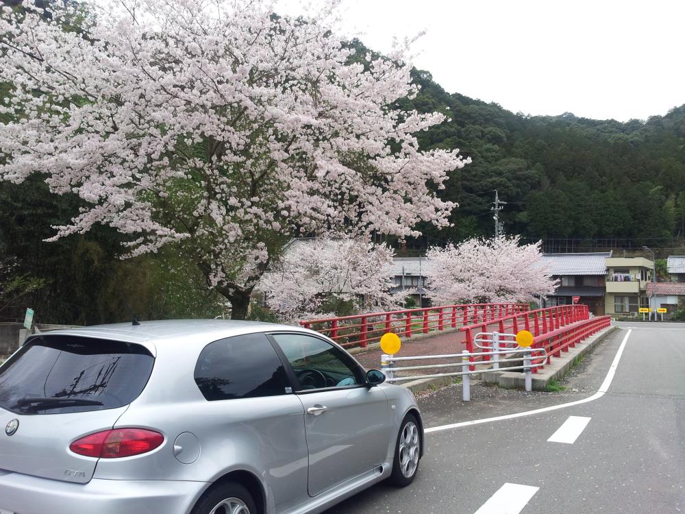 20150411_081600_928_3.jpg
