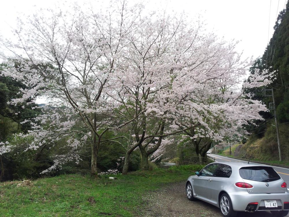 20150411_081926_286_1.jpg