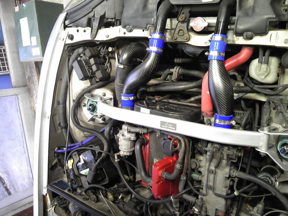 SBSH1293 (2).jpg