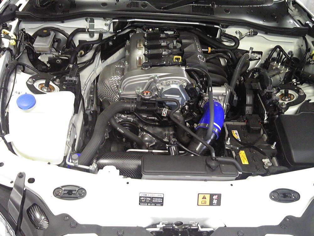 SBSH1030.jpg