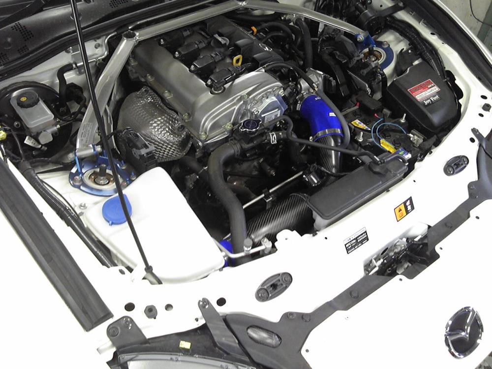 SBSH1119.jpg