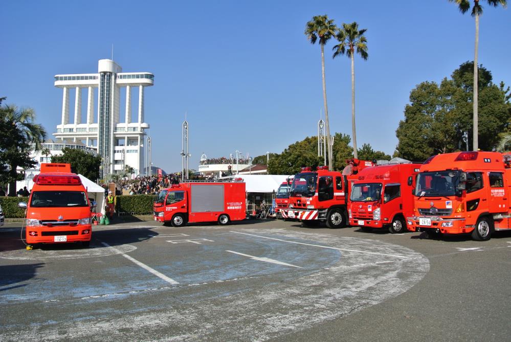 DSC_1082.jpg