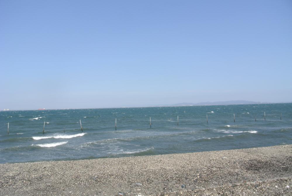 DSC_1798.jpg
