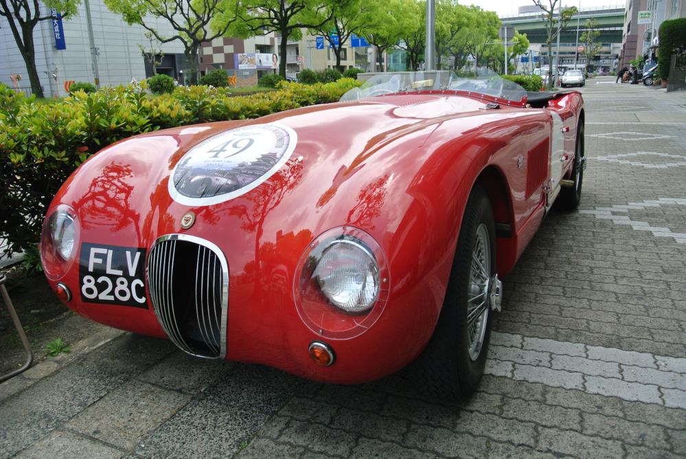 DSC_2639.jpg
