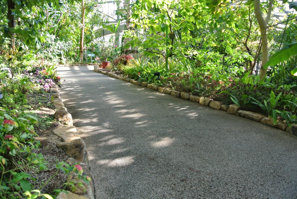 DSC_4410.jpg