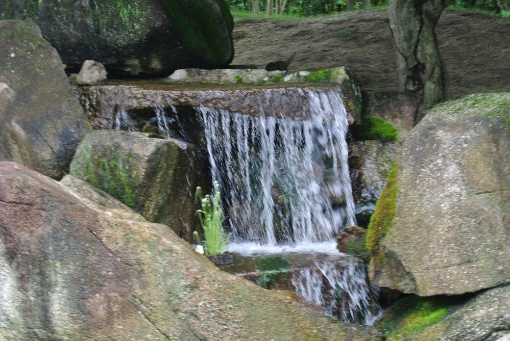 DSC_5597.jpg