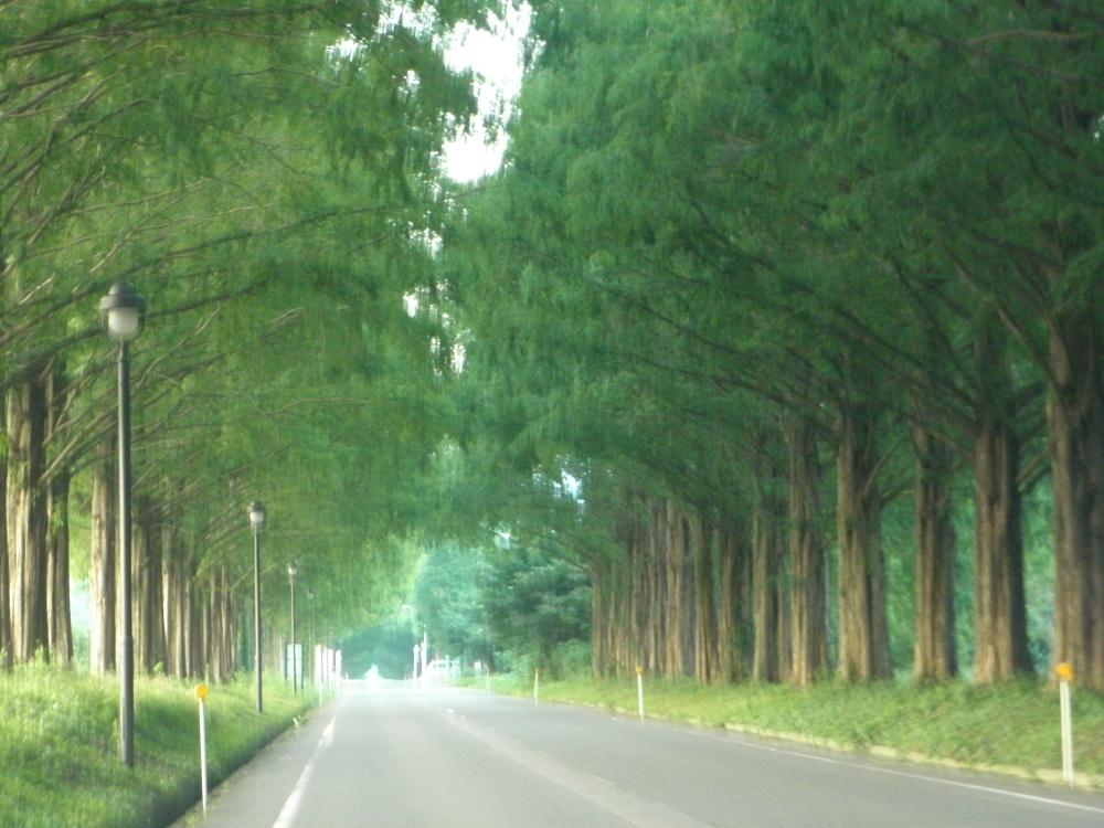 P9100055.jpg