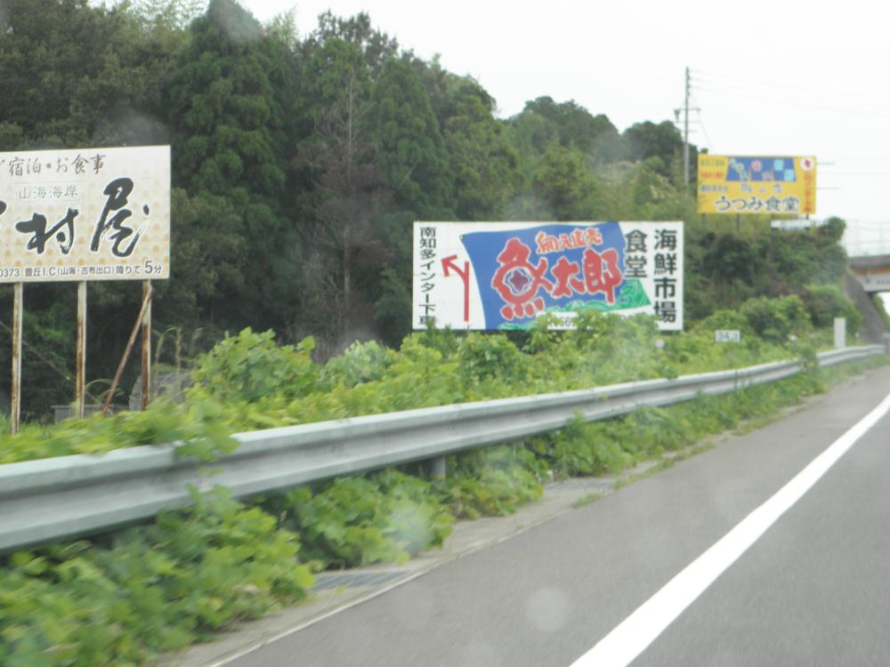 P9150035.jpg