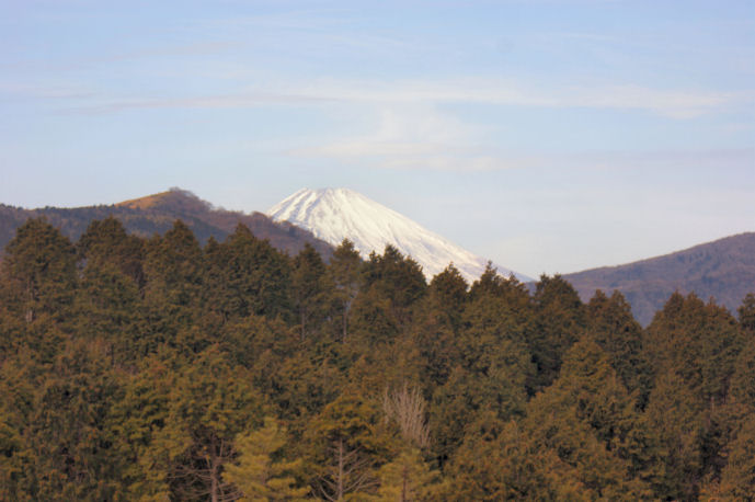 DSC05797.jpg