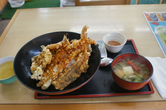 DSC05838.jpg