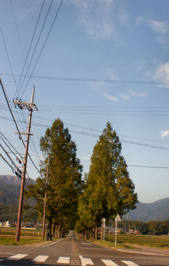 DSC07602.jpg