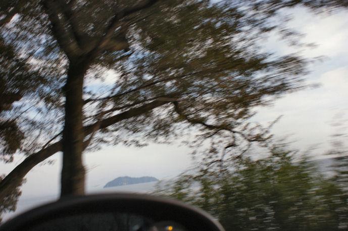 DSC07603.jpg