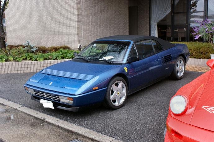 DSC07829.jpg