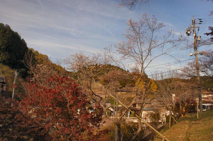 DSC07908.jpg