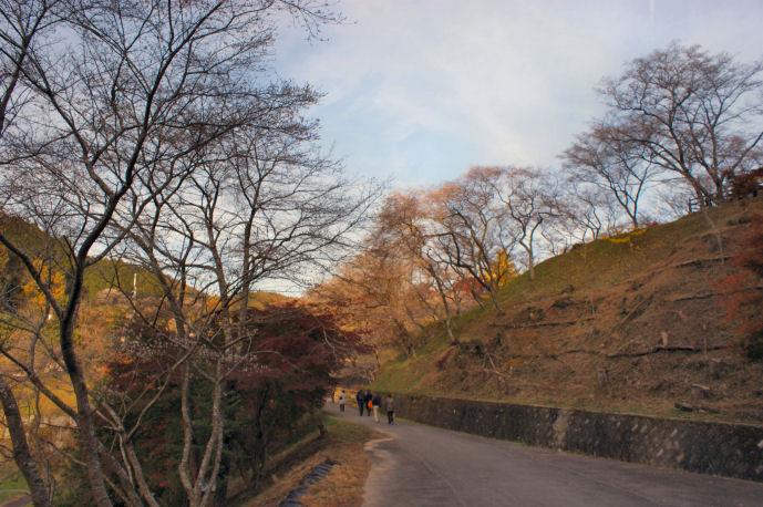 DSC07914.jpg