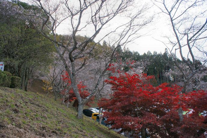 DSC07927.jpg