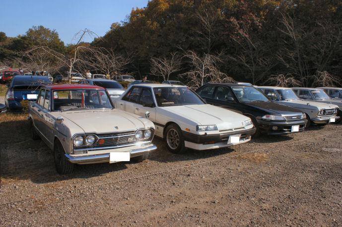 DSC07952.jpg