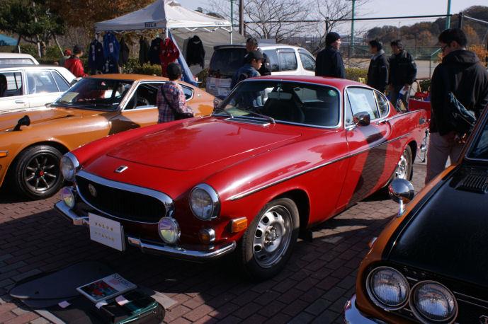 DSC08015.jpg