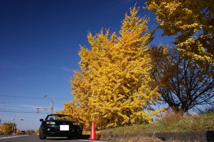 DSC08056 圧縮.jpg