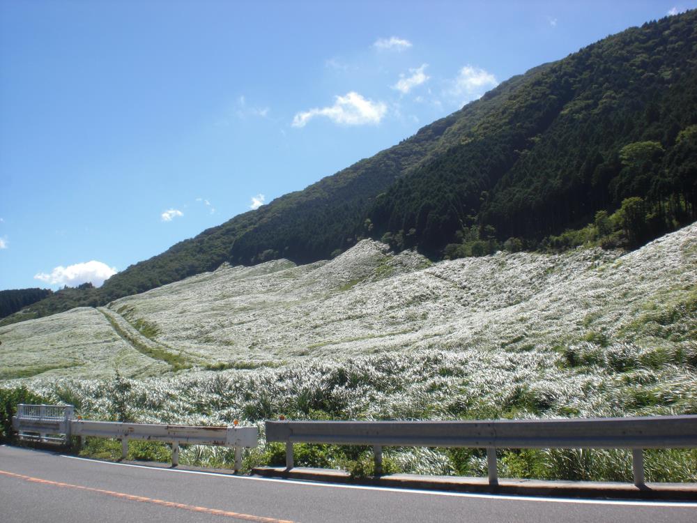 CIMG5760.jpg